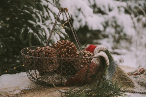 Christmas Styling Trends for 2019