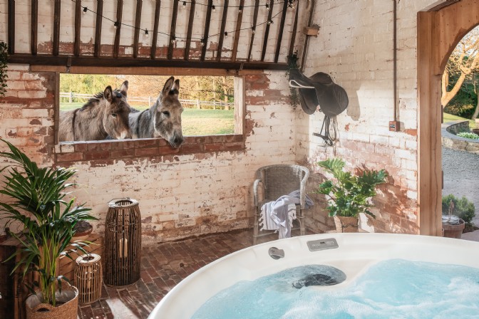 GP4219 - The Hop Store