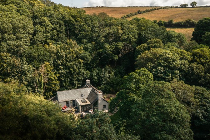 GP4287 - The Milk Wood 2- woodland