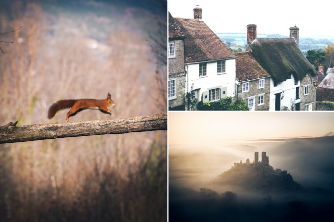 GP2503 - Red squirrel on Brownsea Island, Gold Hill in Shaftesbury, and the ruins of Corfe Castle