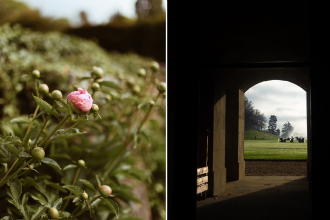 GP2573 - On the left, a pink rose among green foliage; on the right, an archway looks out over green grounds