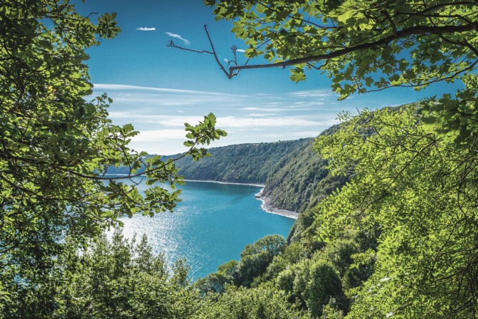 A beautiful green cliff coastline that drops down to blue sea, with trees in the foreground
