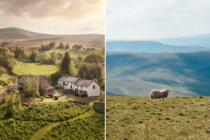 On the left, Celestia in the Brecon Beacons; on the right, a sheep on Pen Y Fan