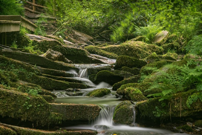 Wild Swimming at Goldiggins Quarry, Cornwall 