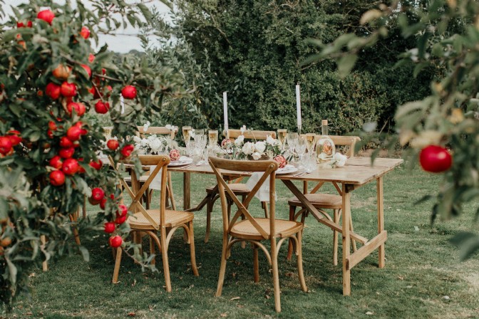 An image of a table set up in an orchard. The trees are heavy with red apples and the table is laid with flowers and candles