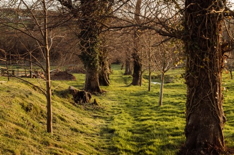 Bodmin Moor