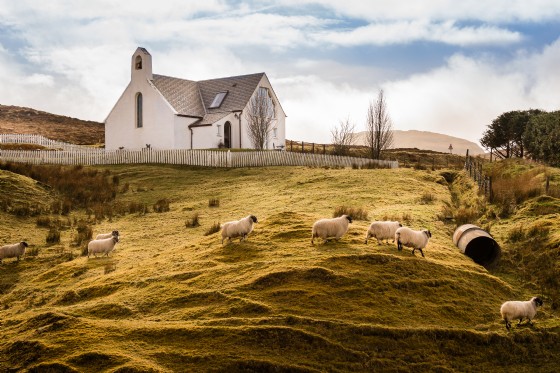 Luxury Holiday Cottages Scotland Unique Homestays