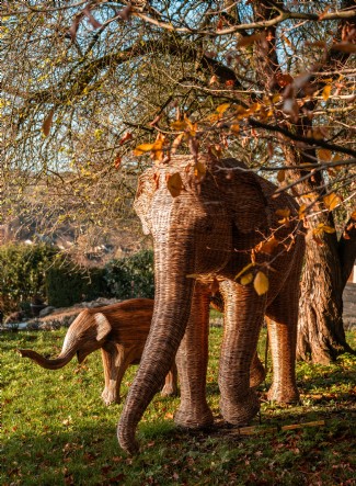Elephant sculptures on the grounds