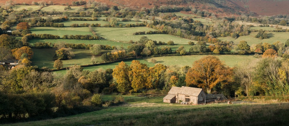 To become anew | Windfall, Herefordshire