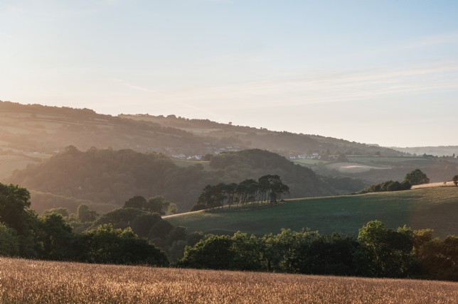 The romance of Britain&acute;s moorlands