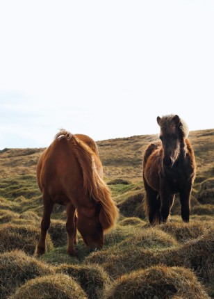 The romance of Britain´s moorlands