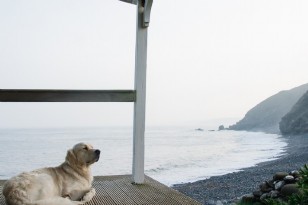 Time Out at The Beach Hut in Cornwall