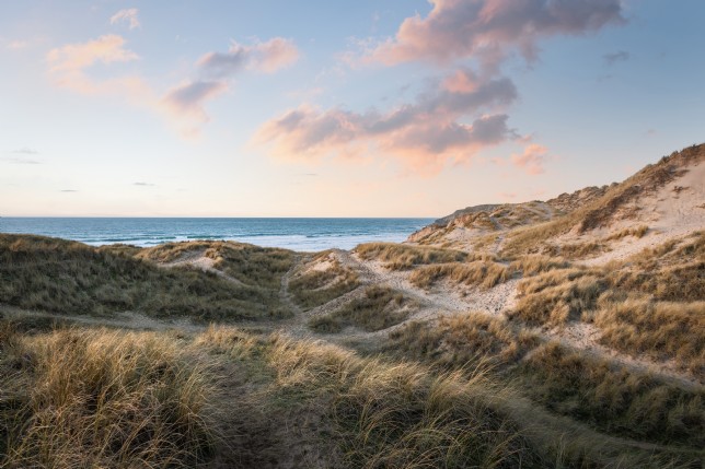 Homes on the England coast path