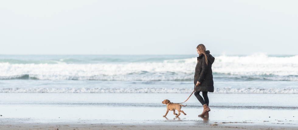 The top 10 dog-friendly beaches in Devon