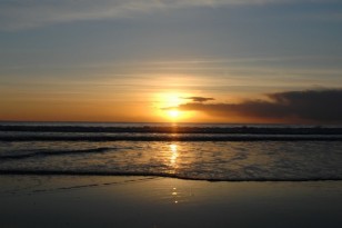 The Beach Hut