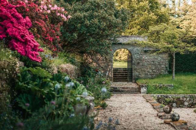 A guide to Cornwall’s most beautiful gardens