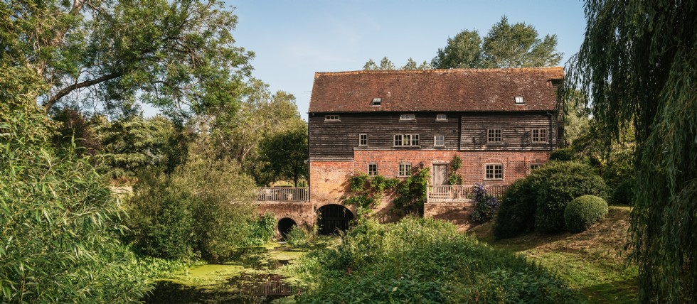 The best places to go for wildlife in the UK