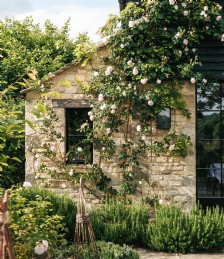 21 charming British cottages to rent that still have availability this summer