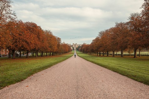 Windsor