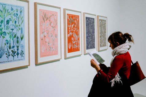 Art Galleries, Totnes