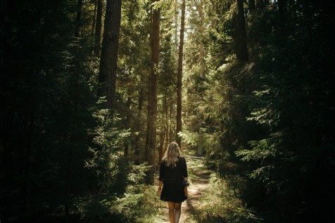 Portlick Woodland