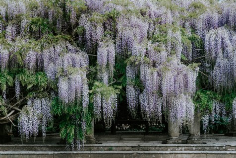 Audley End House and Gardens