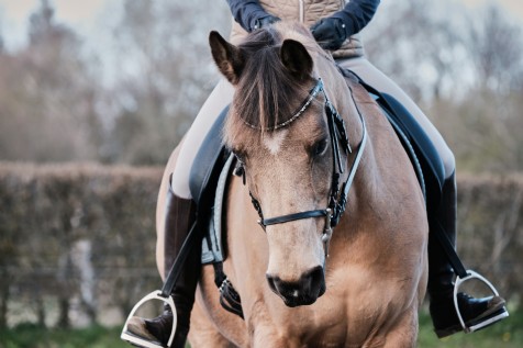 TDS Riding Centre, Tong Norton