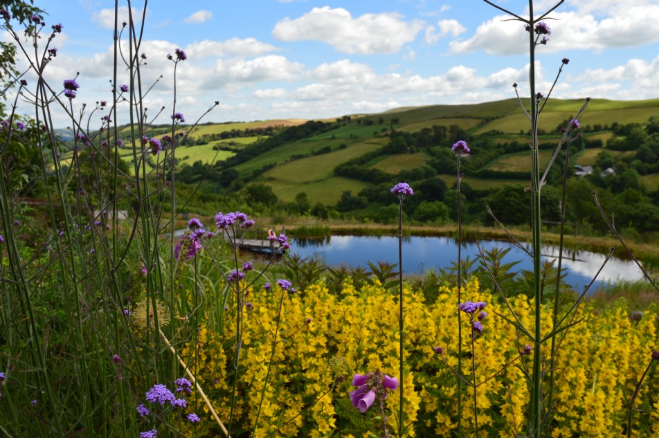 The Black Cabin | Luxury Self-Catering Cabin | Hay-on-Wye, Wales