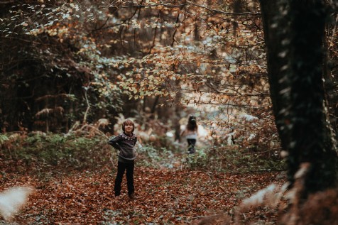 Tarr Steps, Dulverton