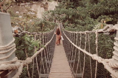 The Eden Project